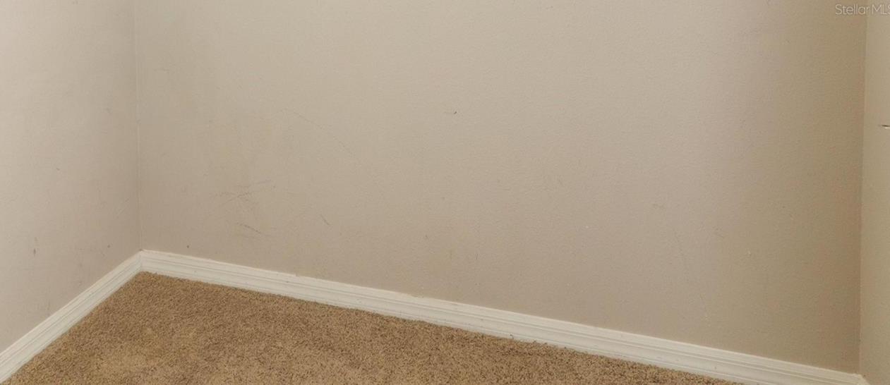 Photo #20