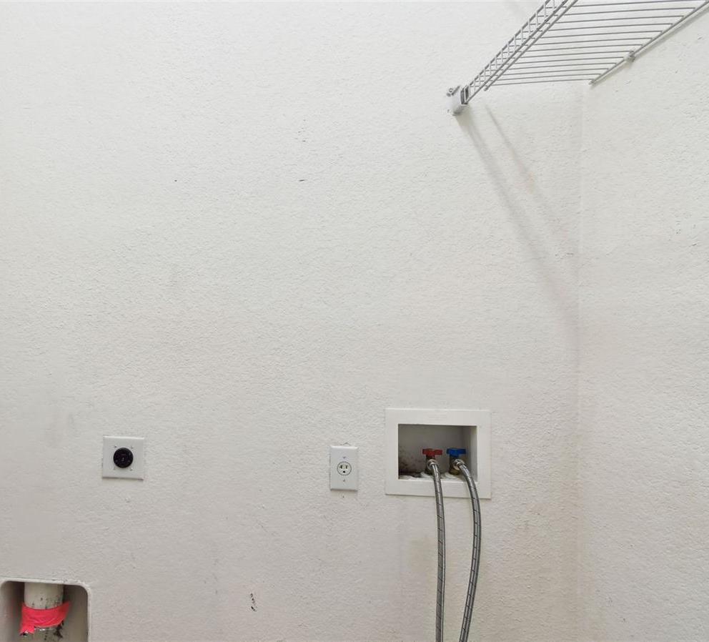 Photo #19