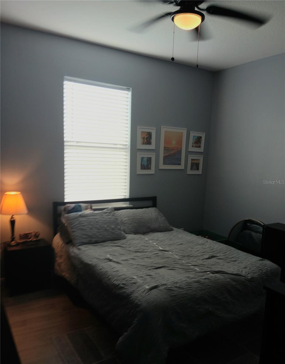 Photo #13