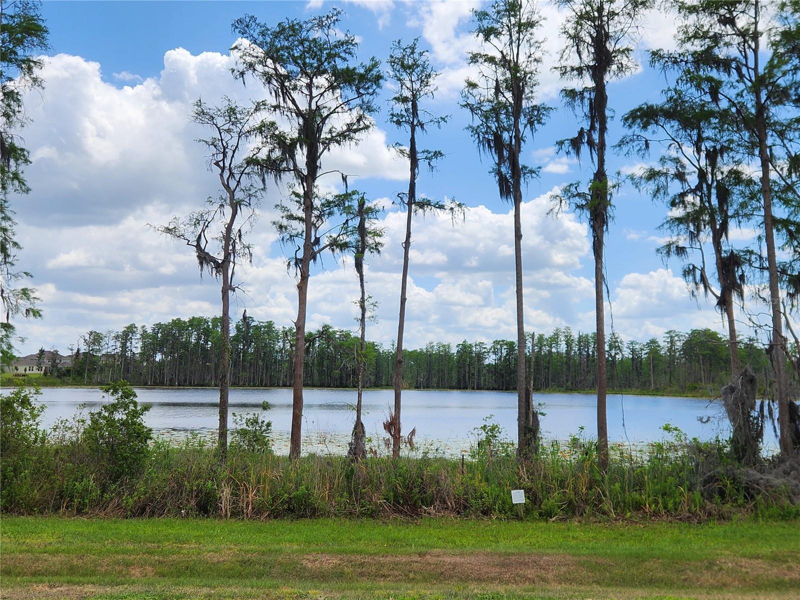Photo #47