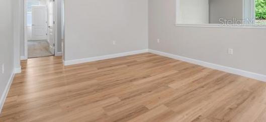 Photo #13