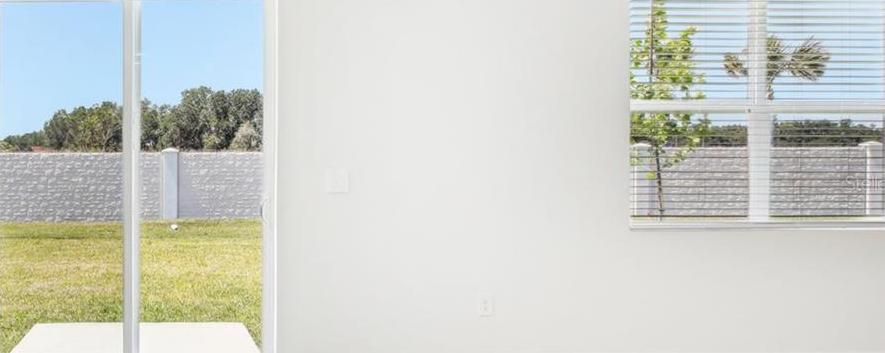 Photo #8
