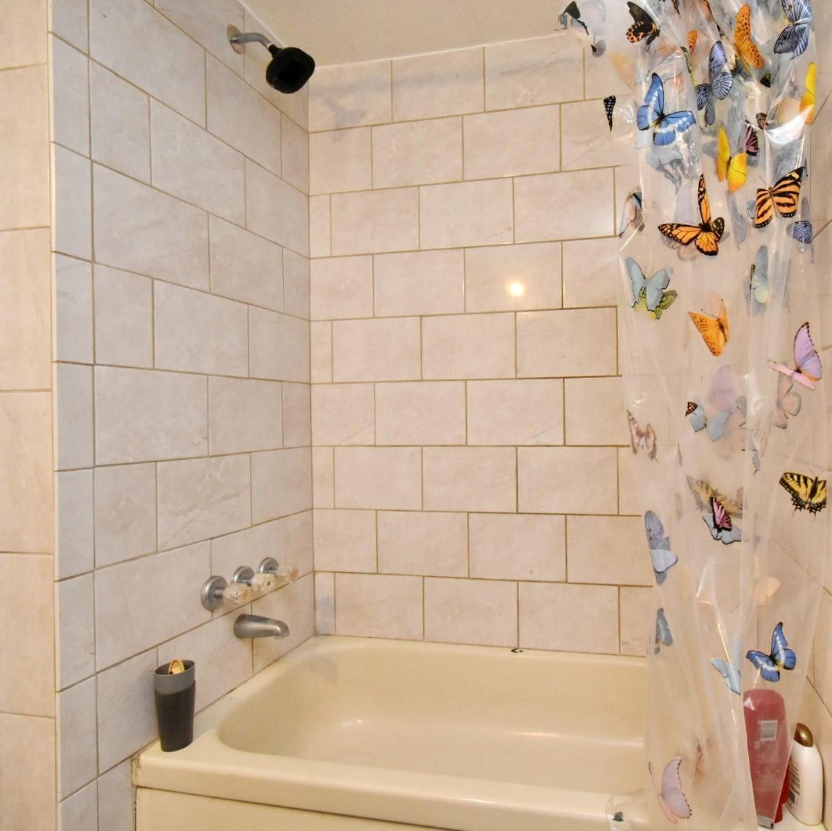 Photo #17