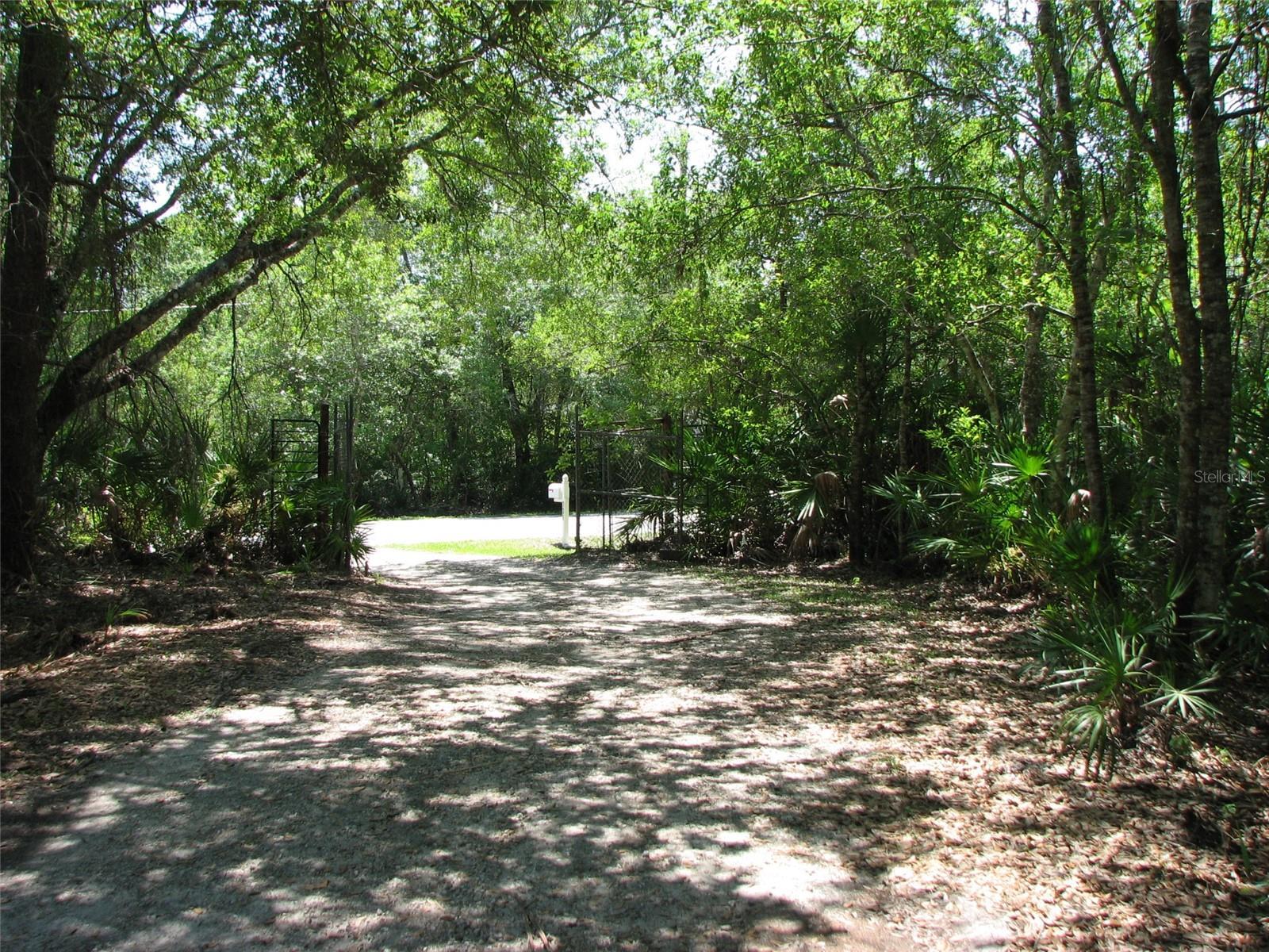 Photo #4