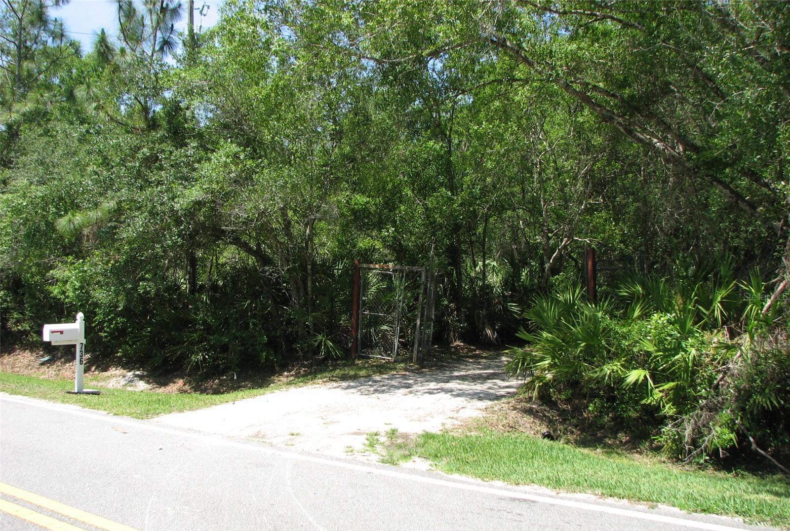 Photo #29