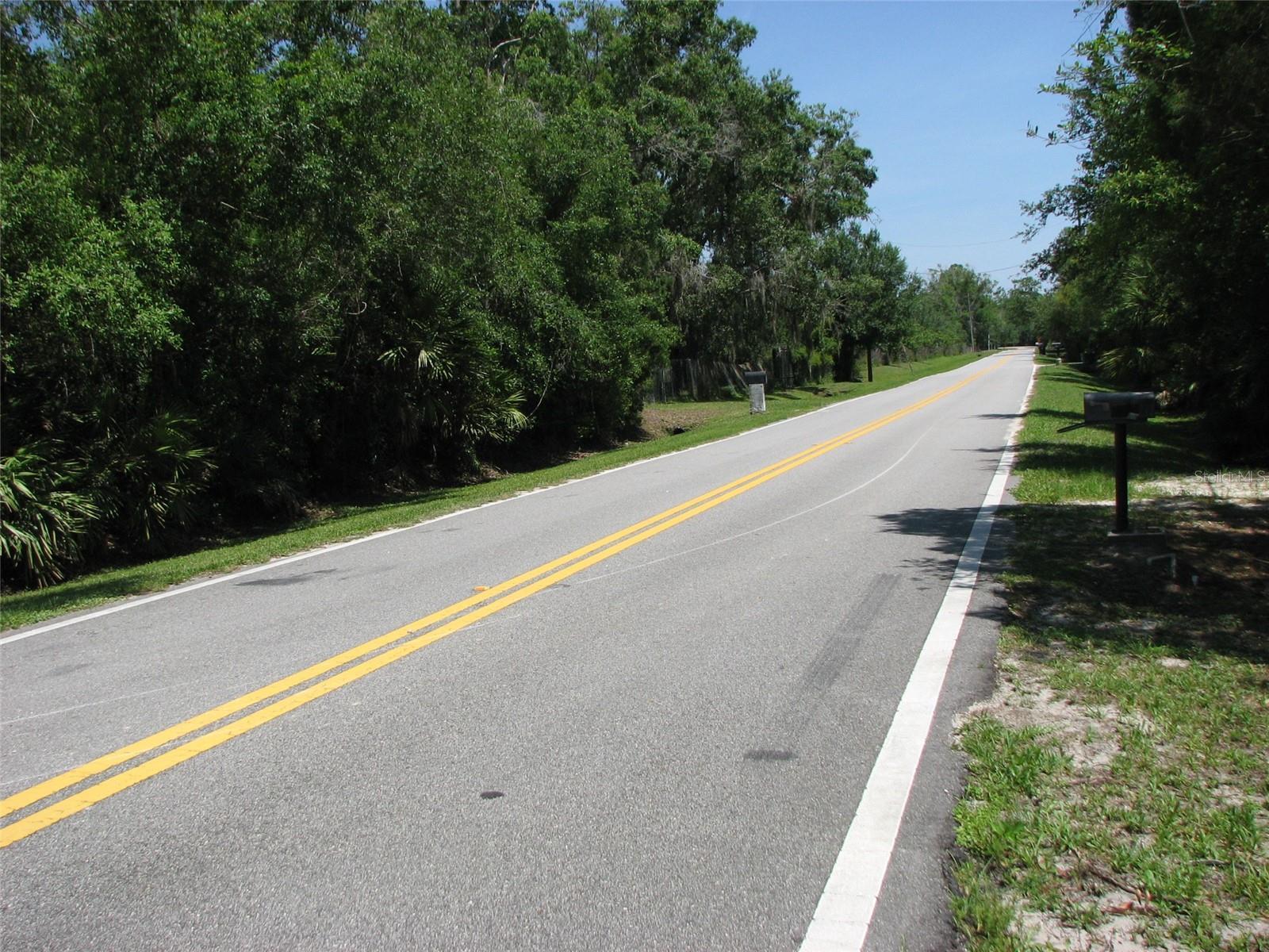 Photo #31