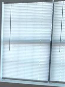 Photo #14
