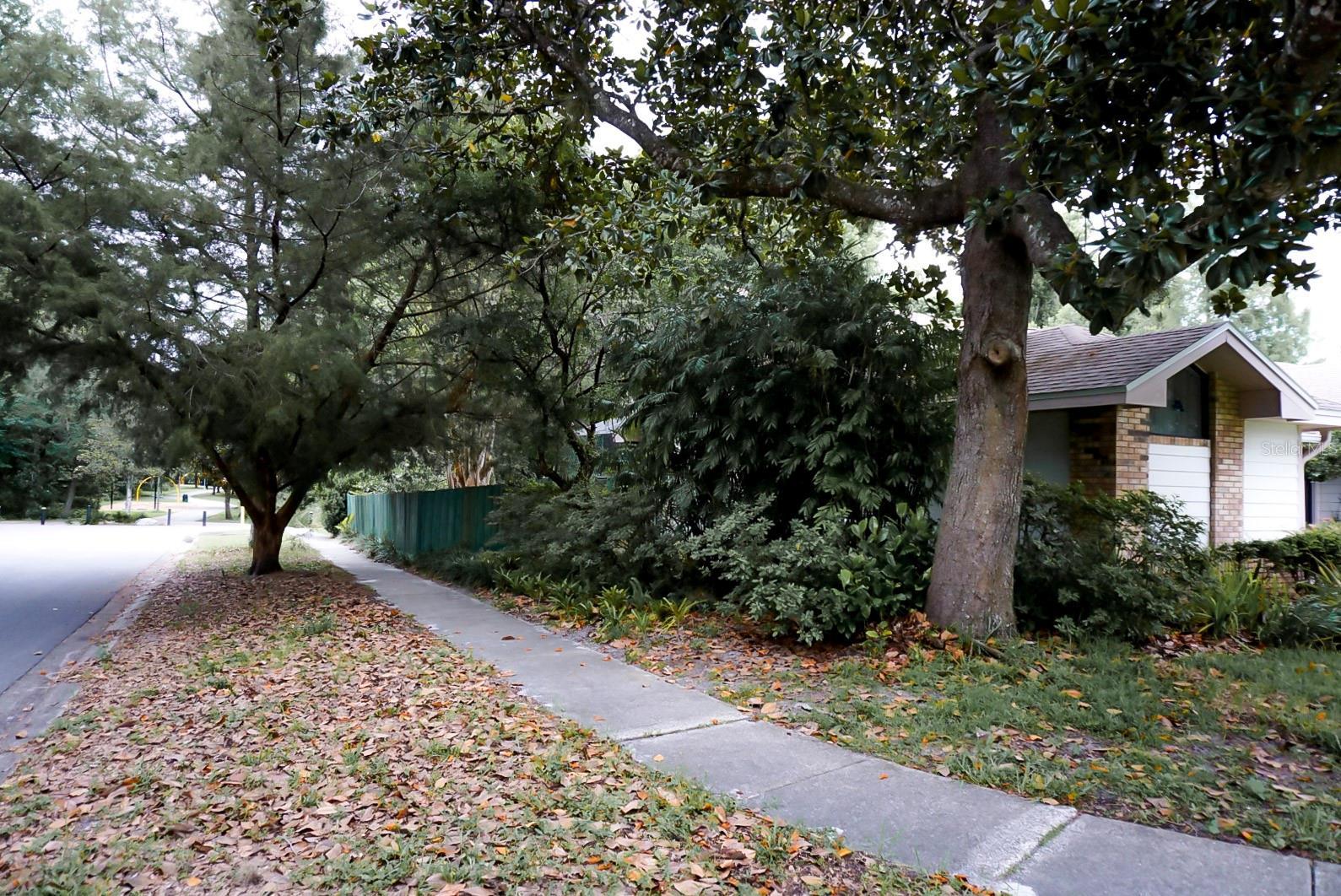 Photo #33