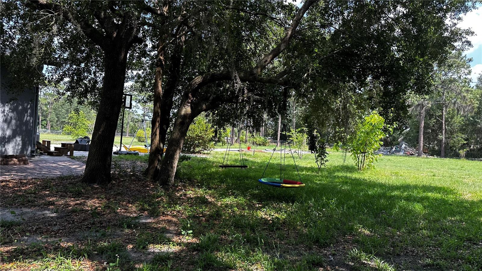 Photo #42