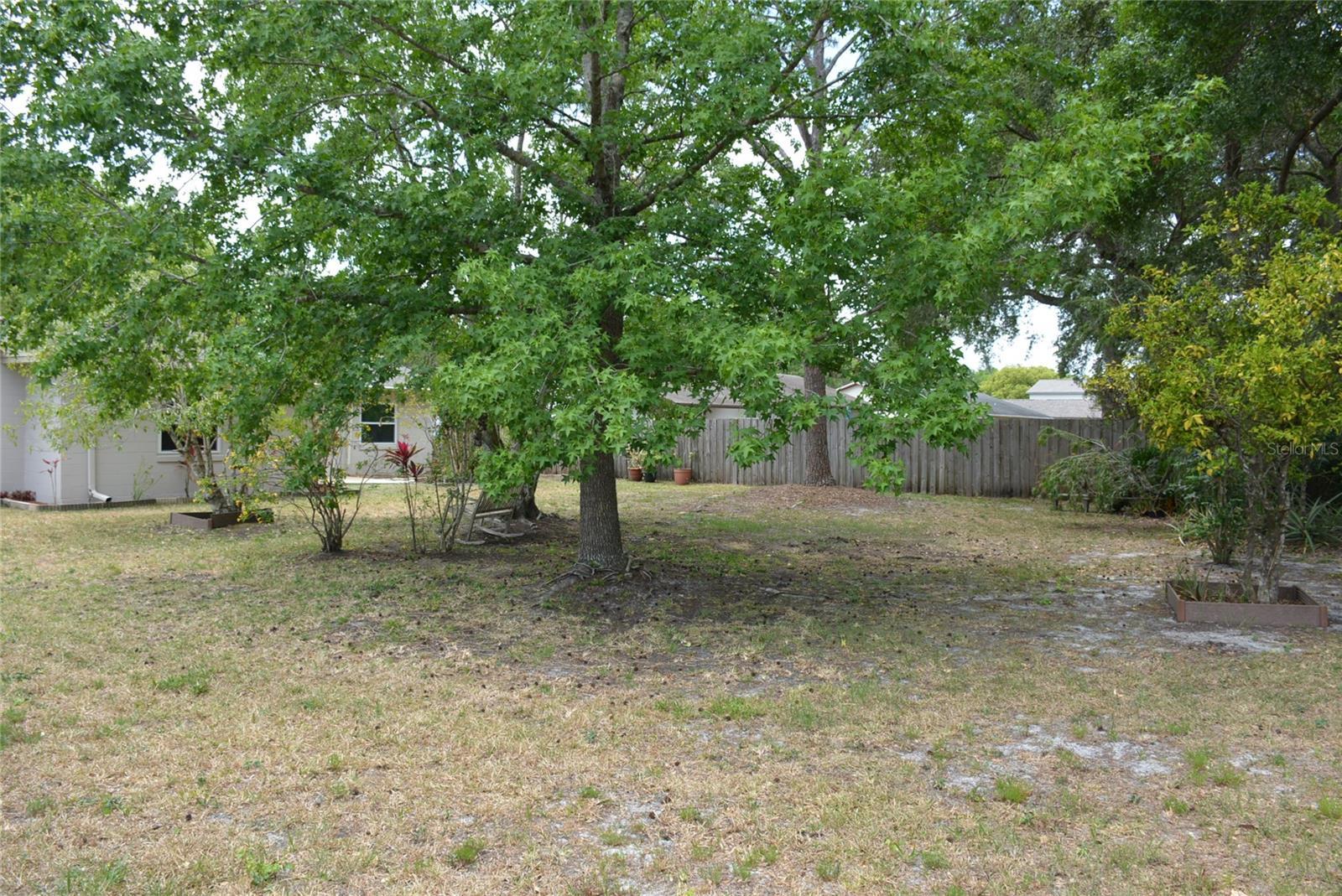 Photo #39