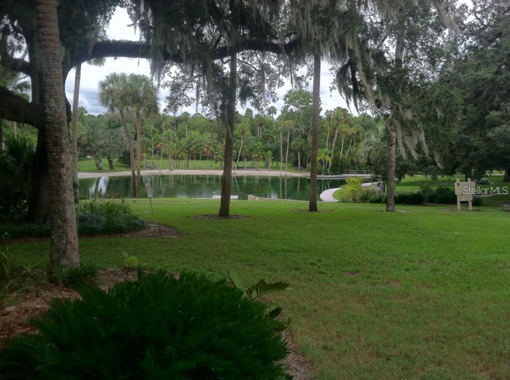 Photo #43