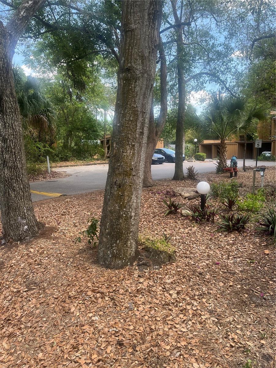 Photo #33