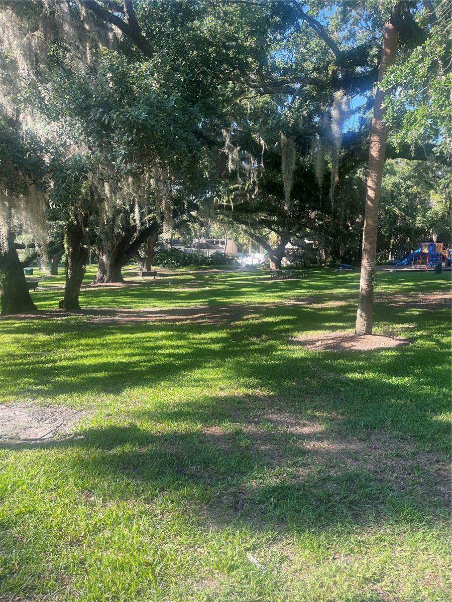 Photo #47
