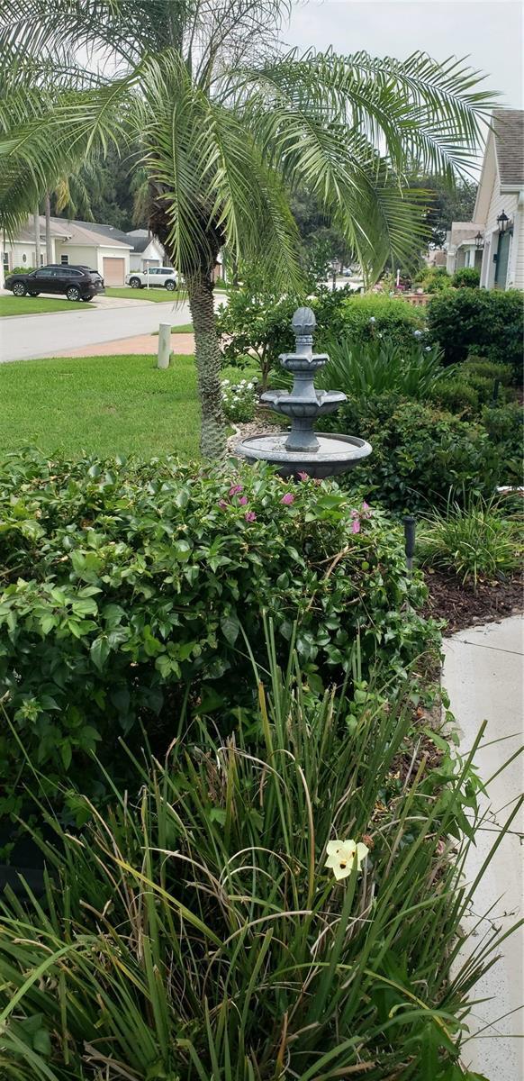 Photo #34