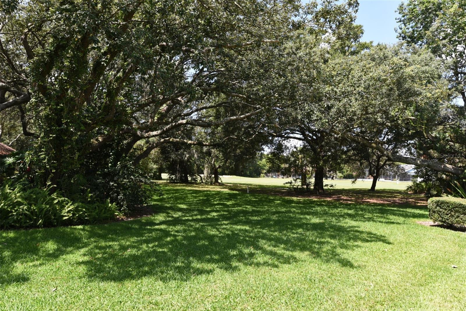 Photo #41