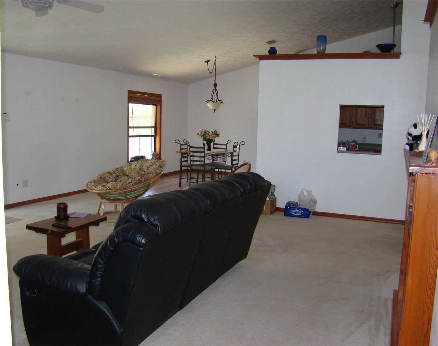 Photo #7