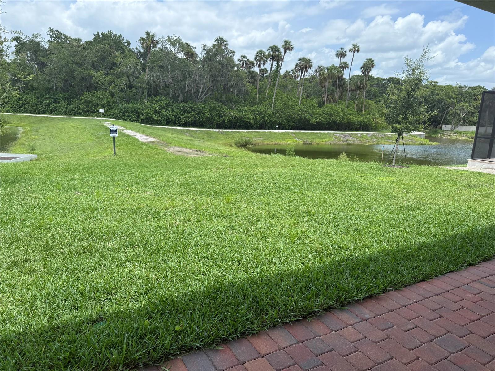 Photo #18