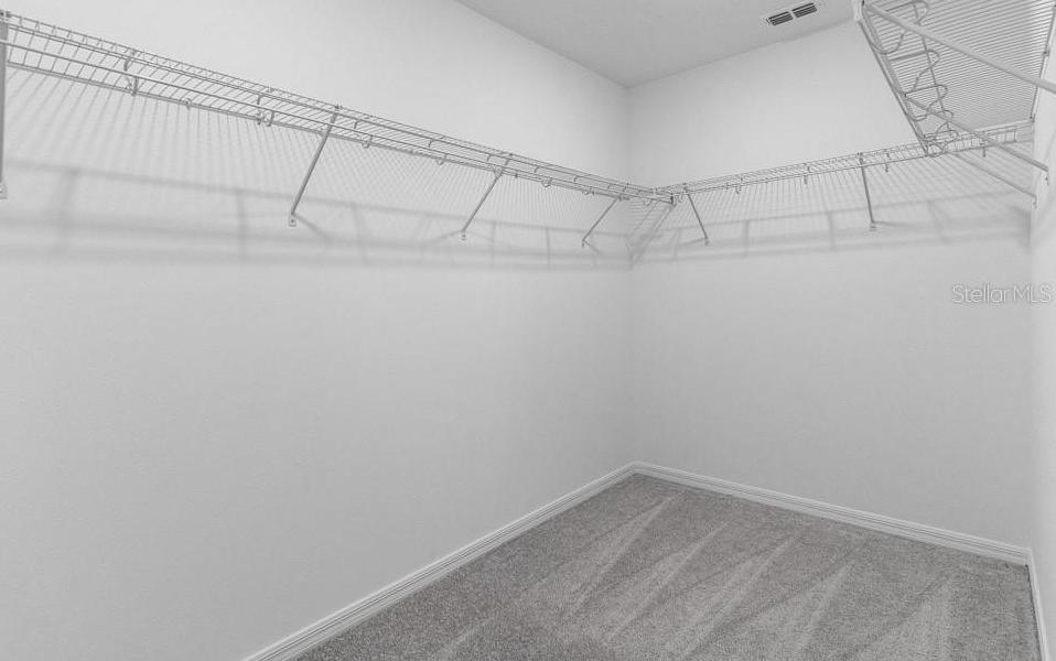 Photo #17
