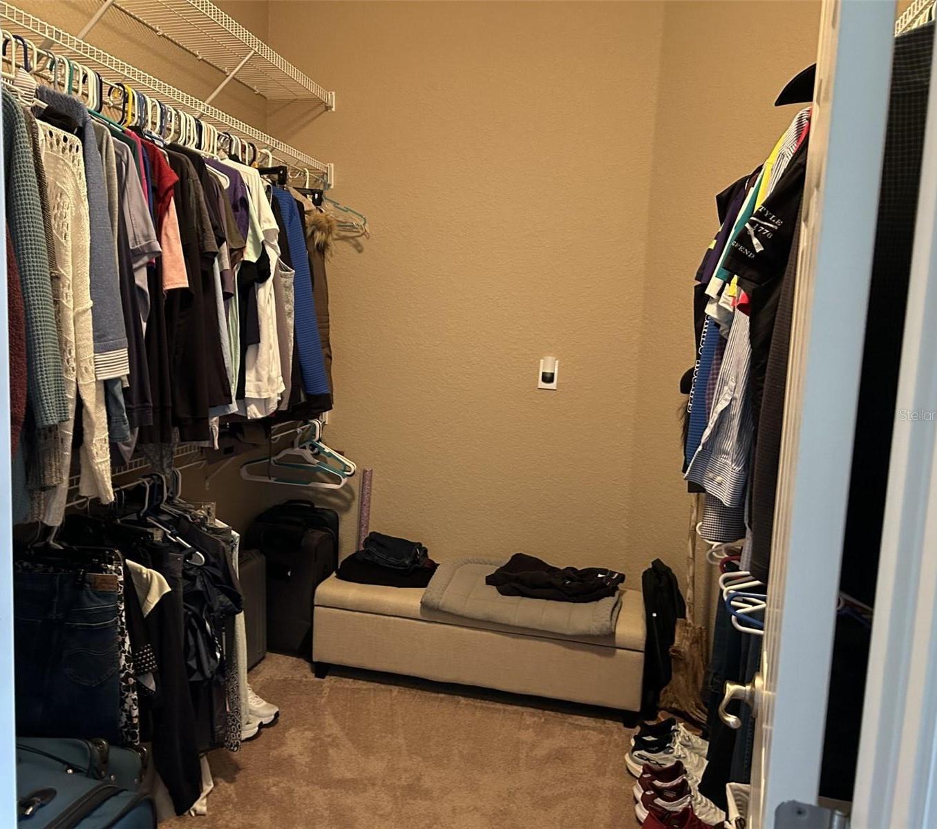 Photo #15