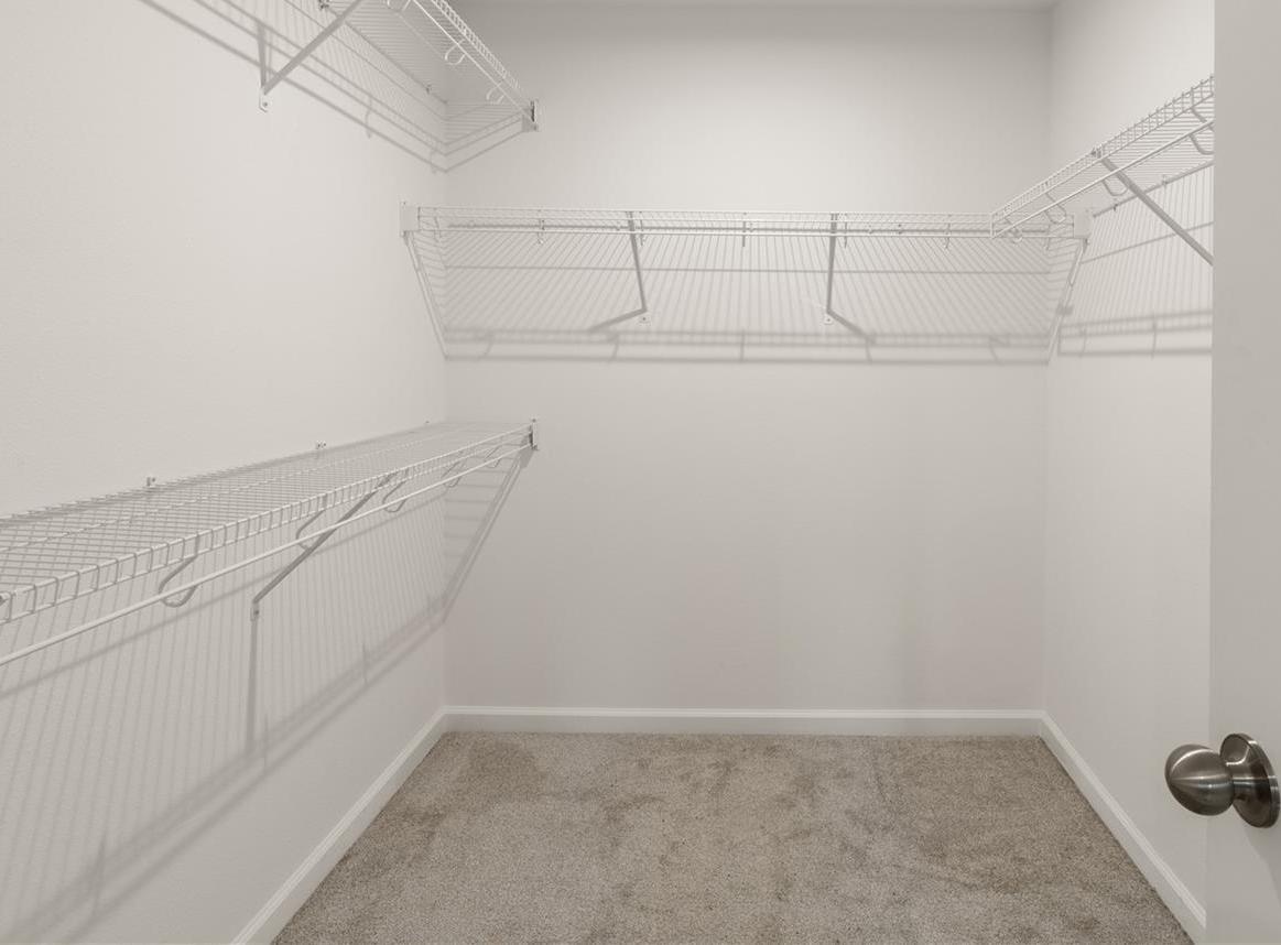 Photo #15
