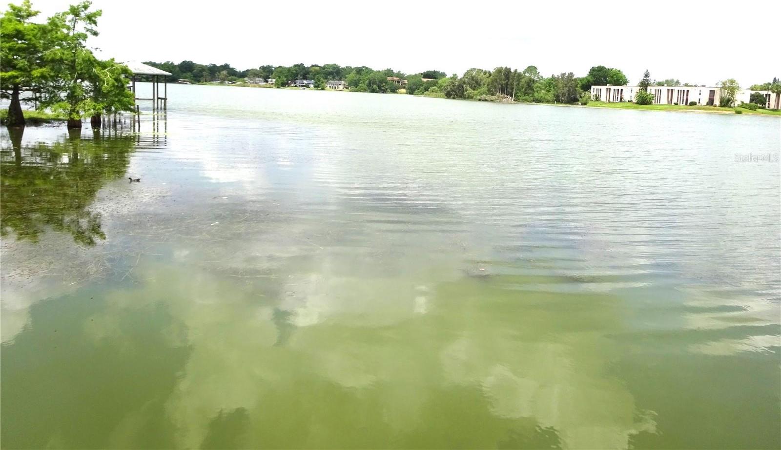 Photo #12