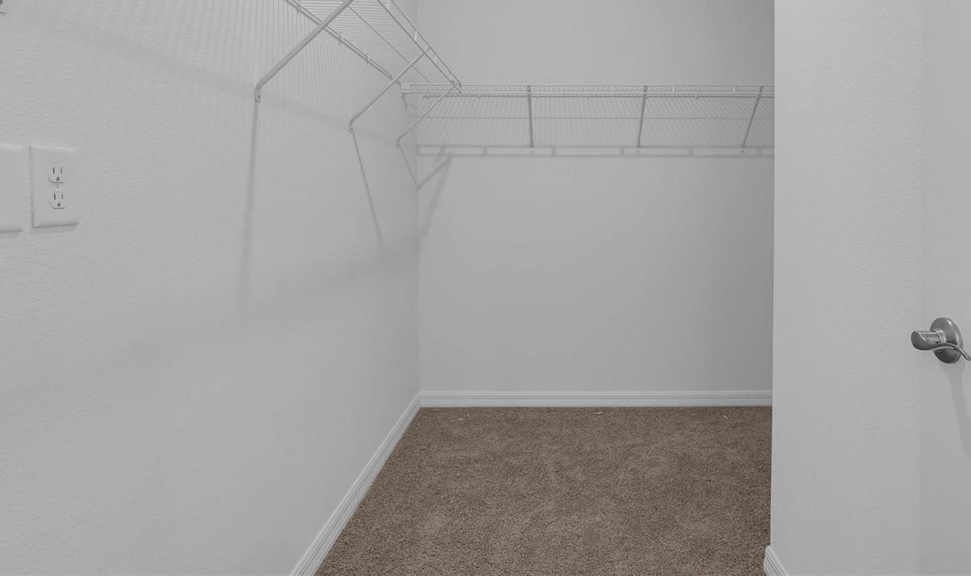 Photo #13