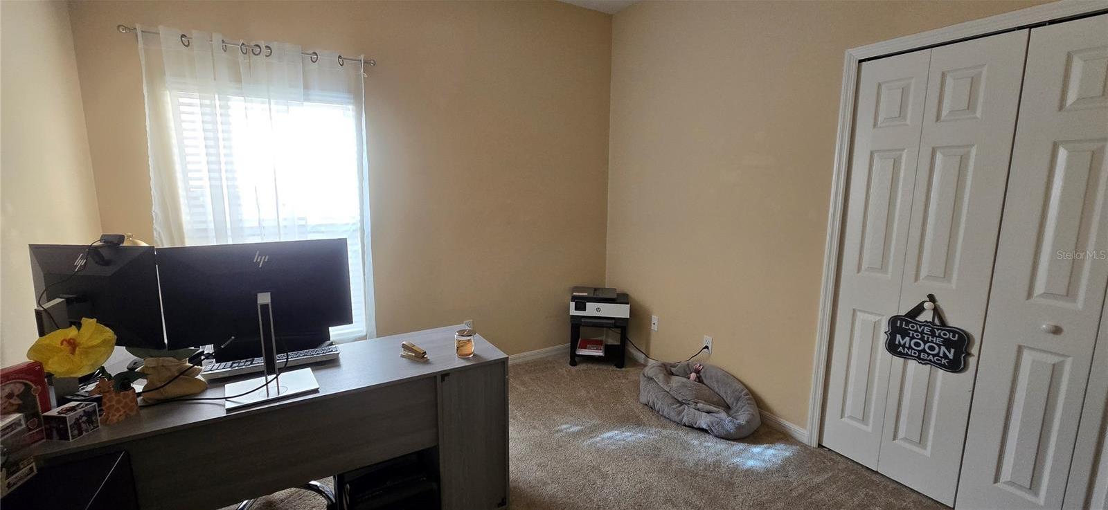 Photo #18