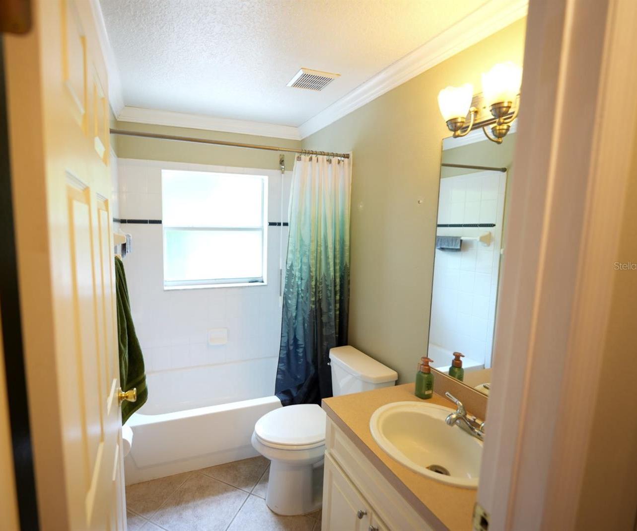 Photo #21