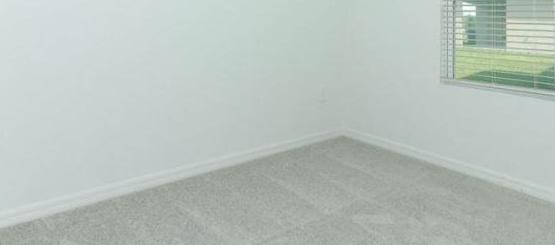 Photo #13