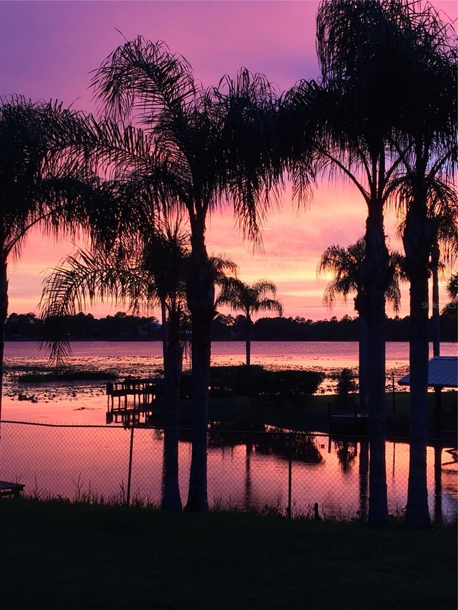 Photo #64