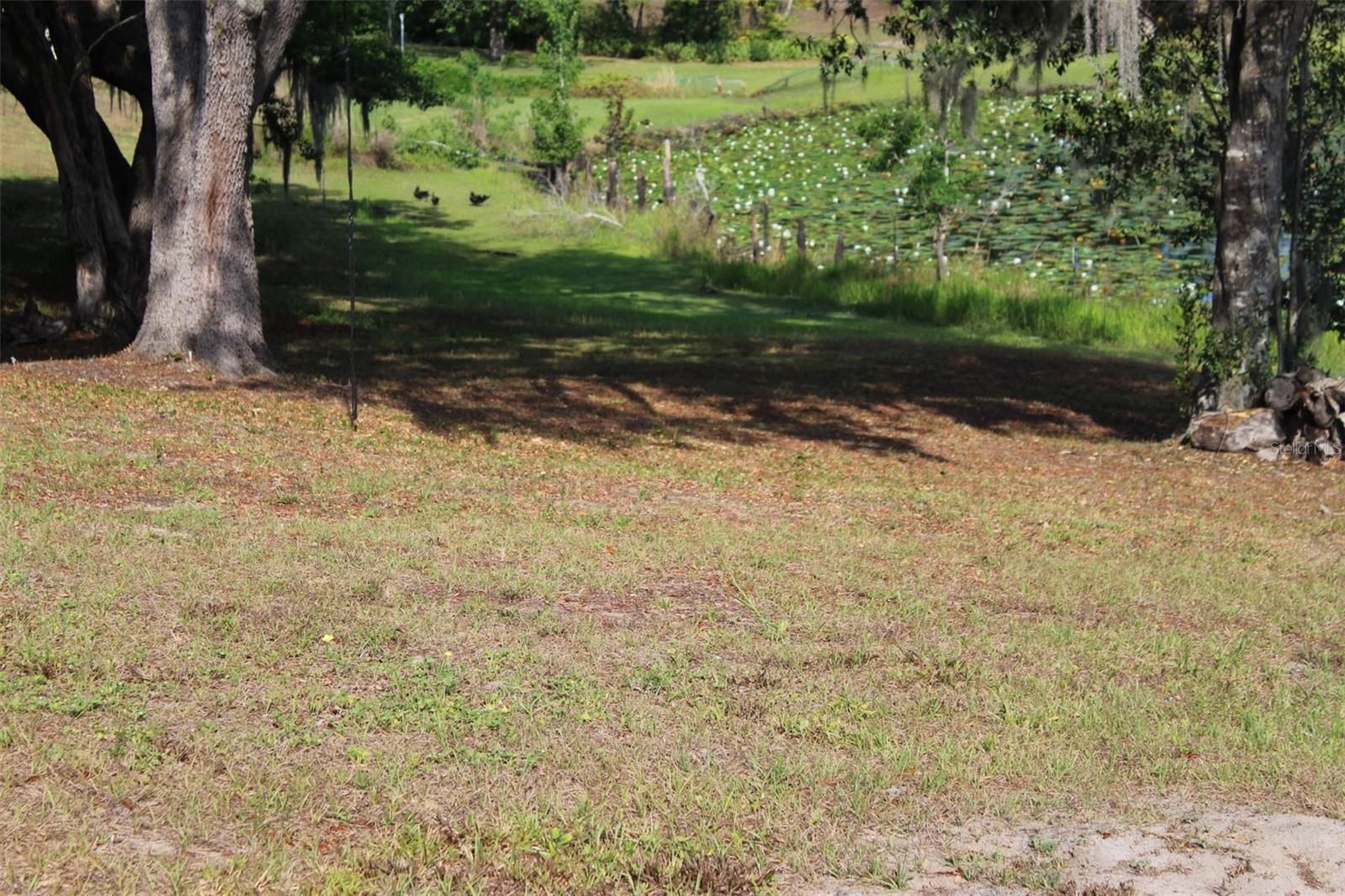 Photo #16