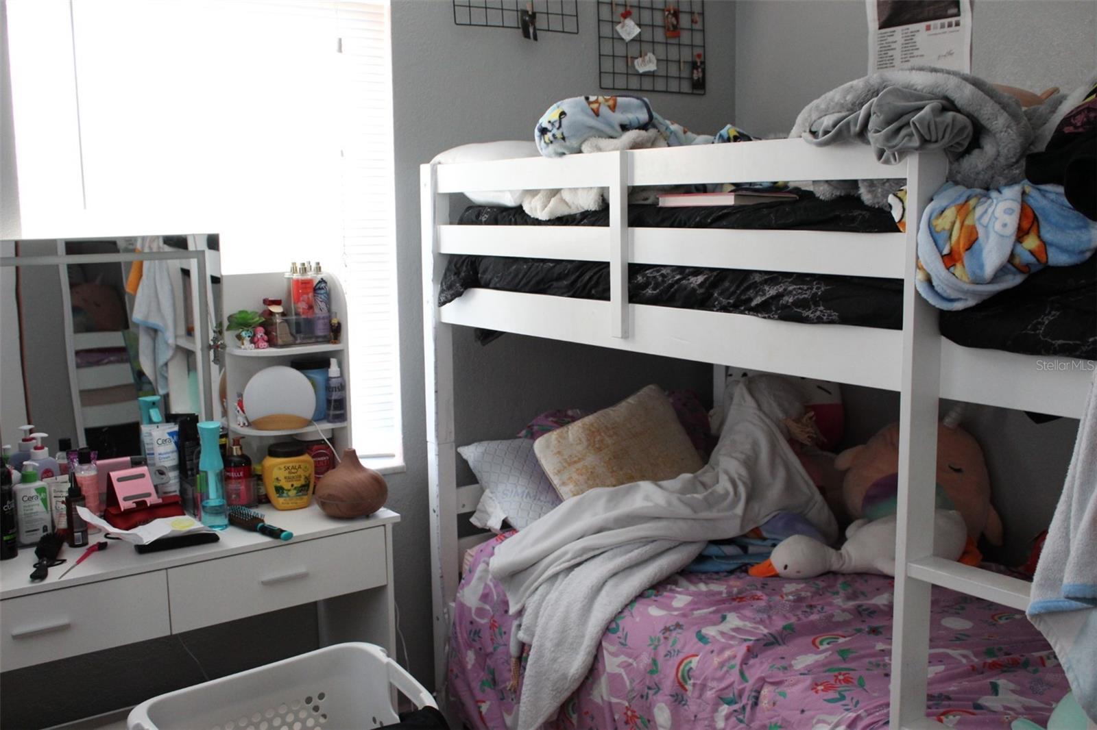 Photo #11