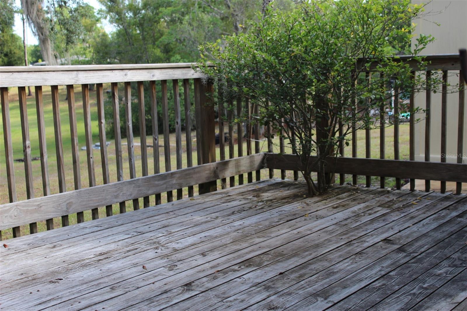 Photo #15