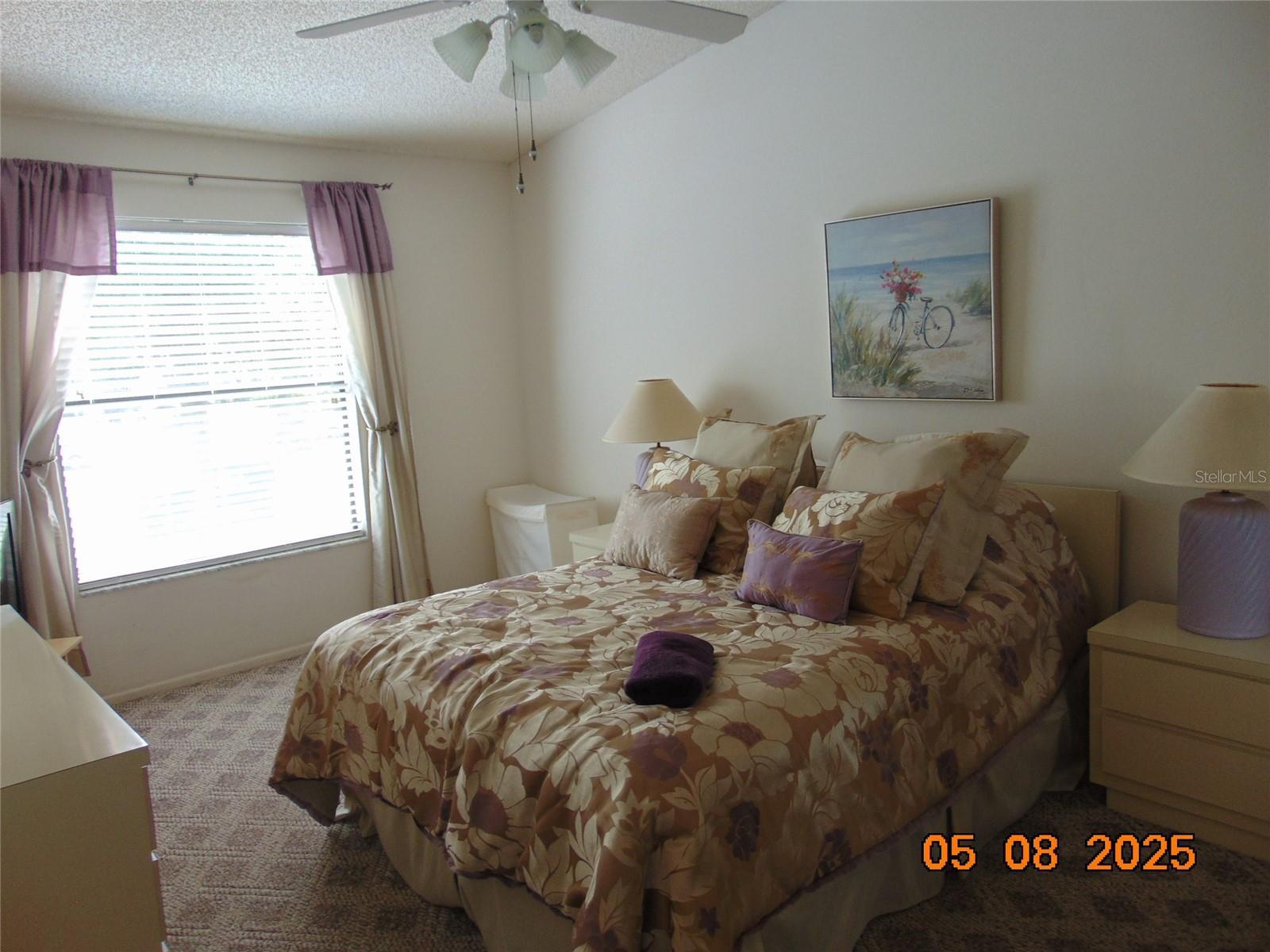 Photo #21