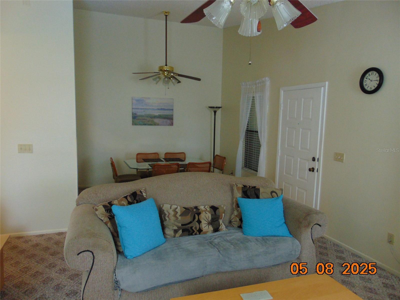 Photo #8