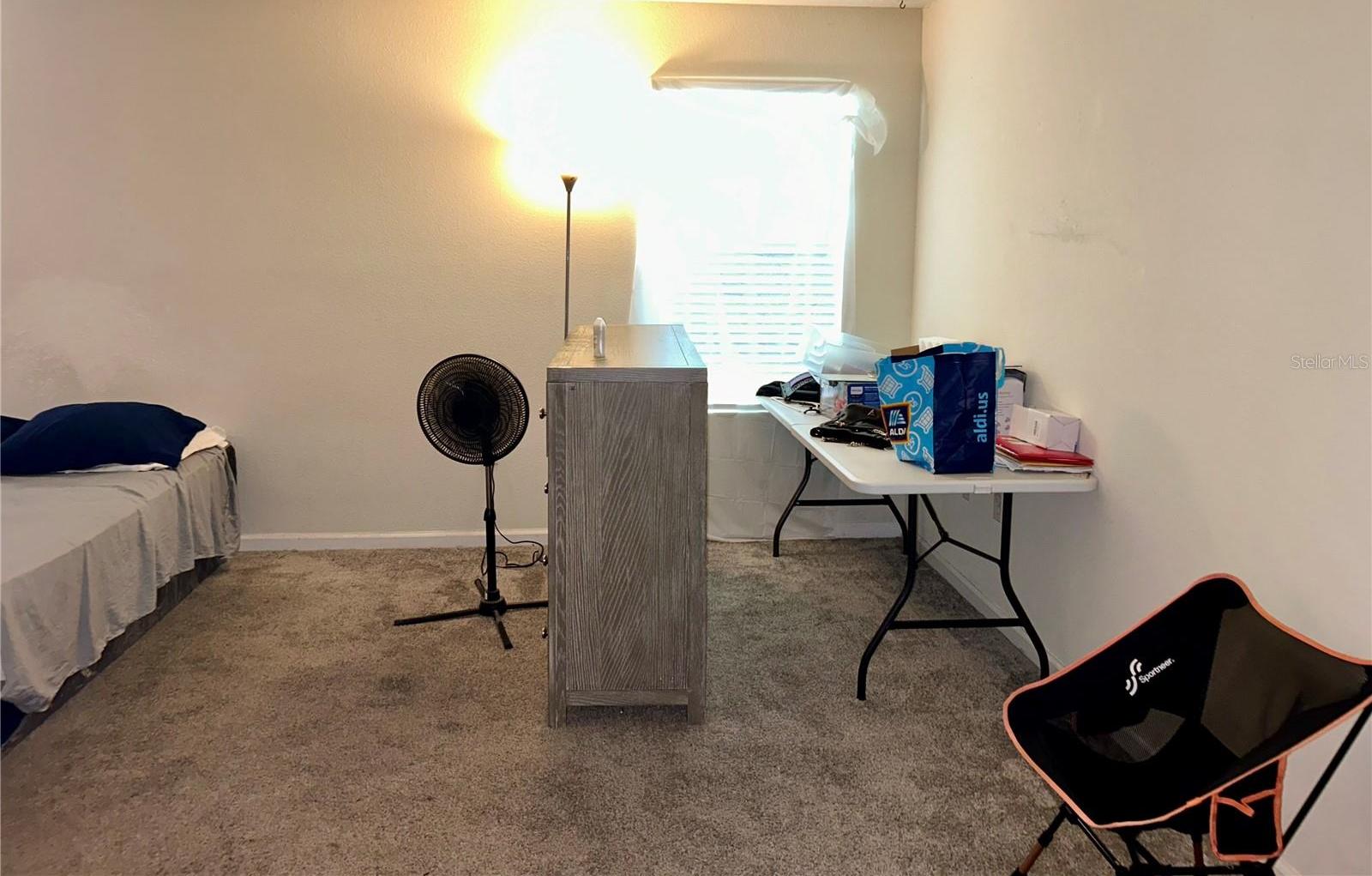 Photo #15