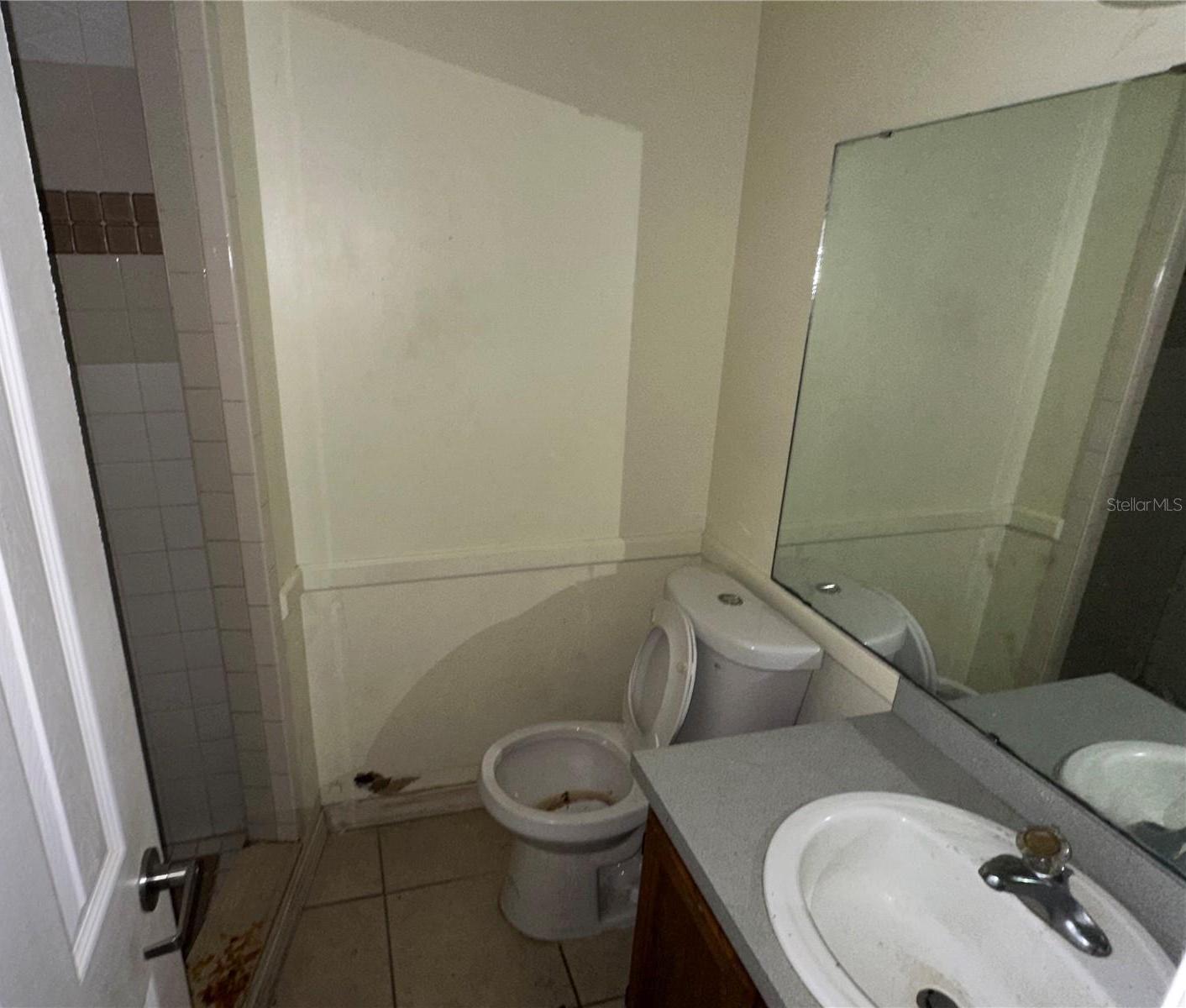 Photo #14