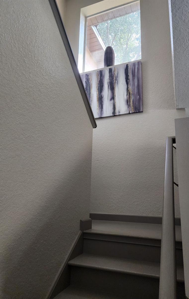 Photo #11