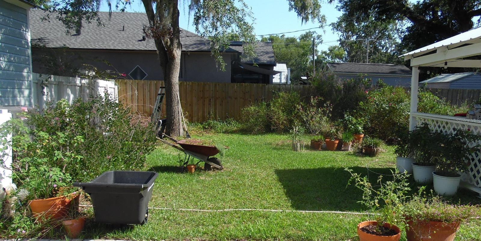 Photo #17