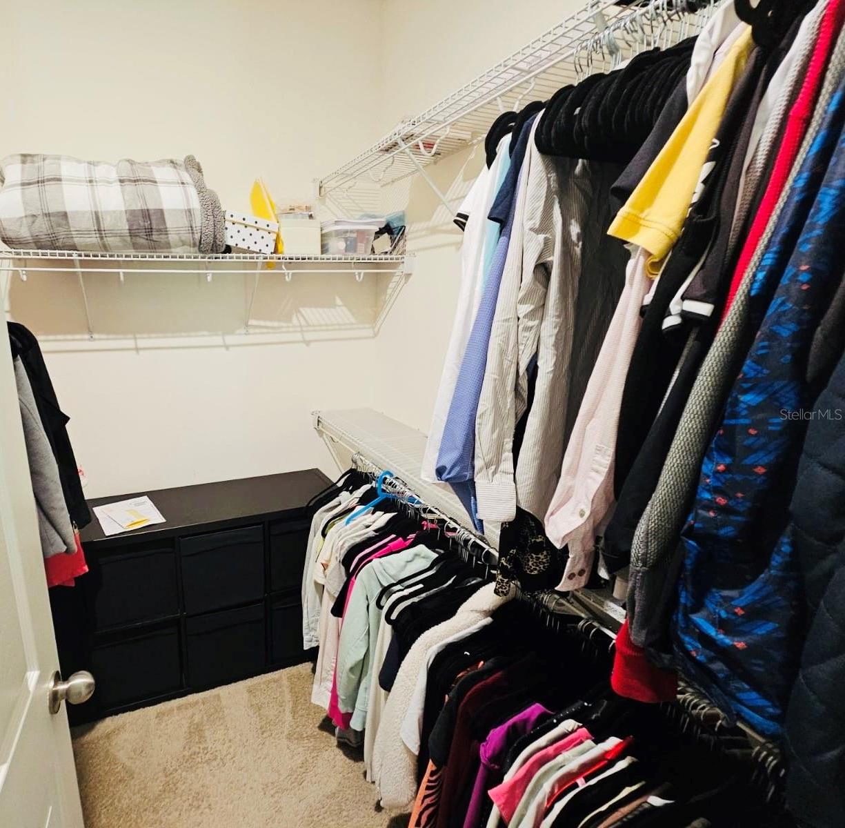 Photo #23