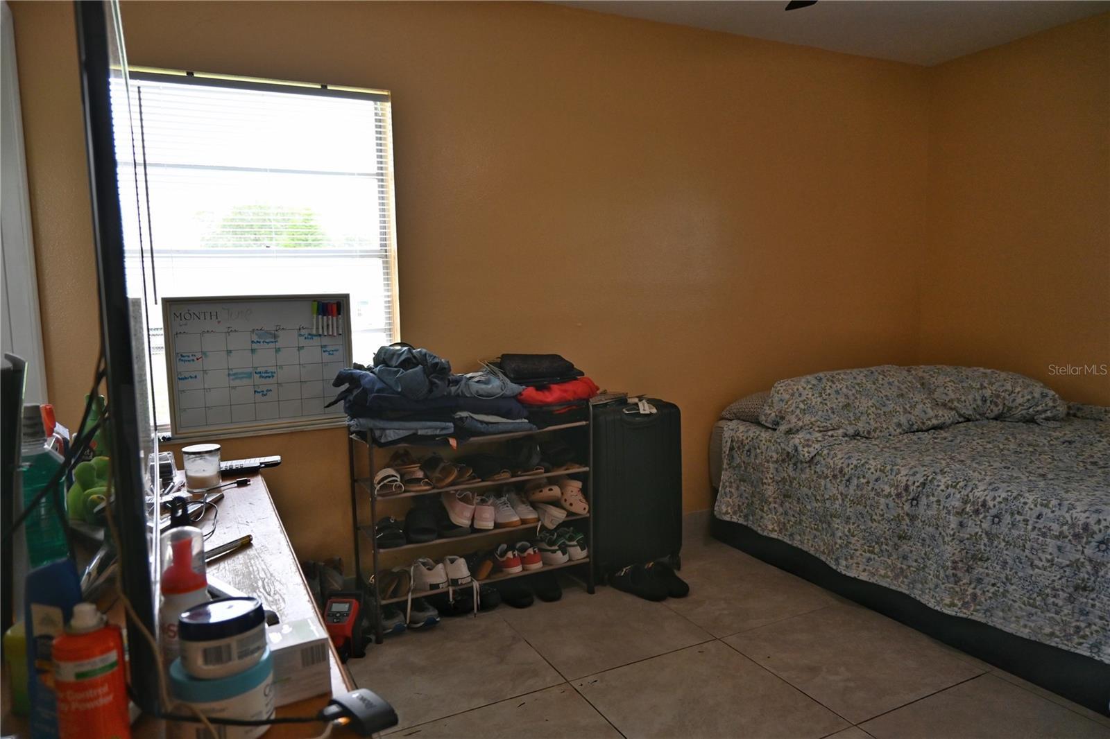 Photo #15