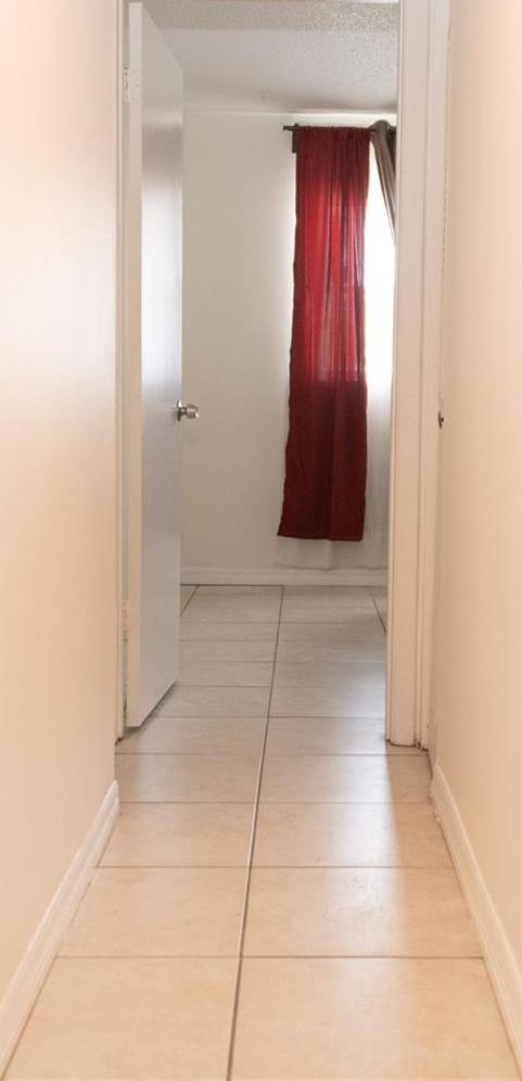Photo #20
