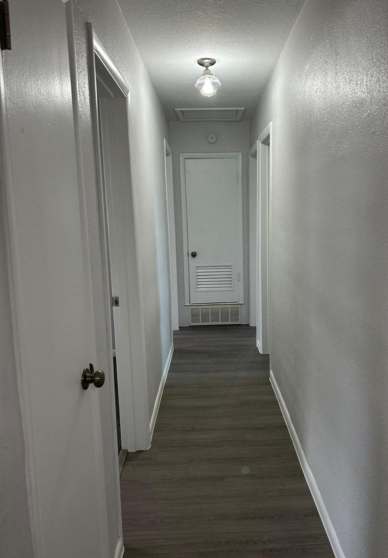 Photo #15