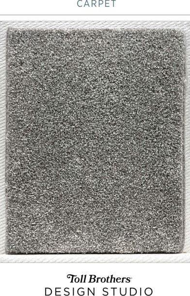 Photo #11