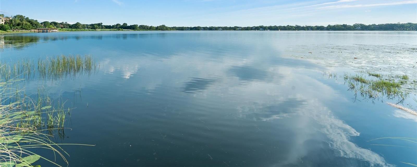 Photo #51