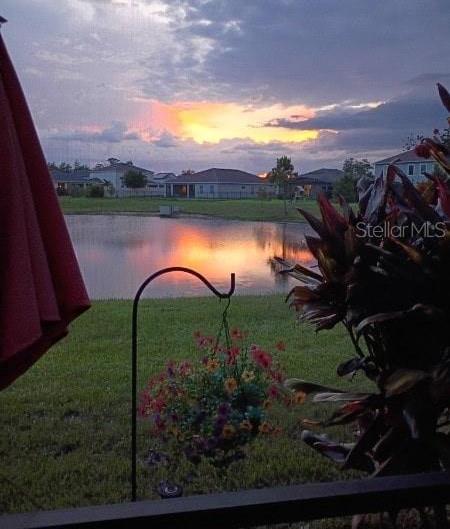 Photo #50