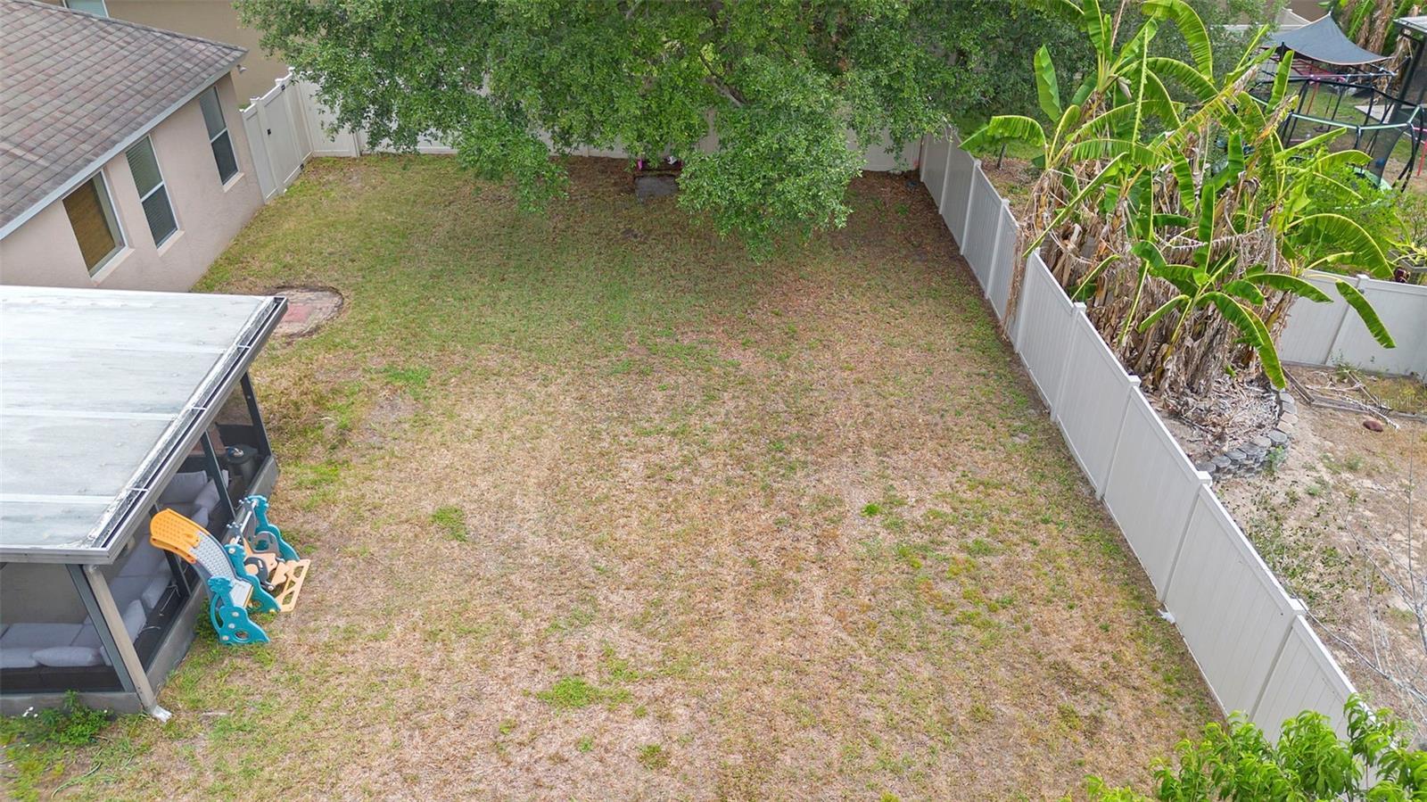 Photo #42