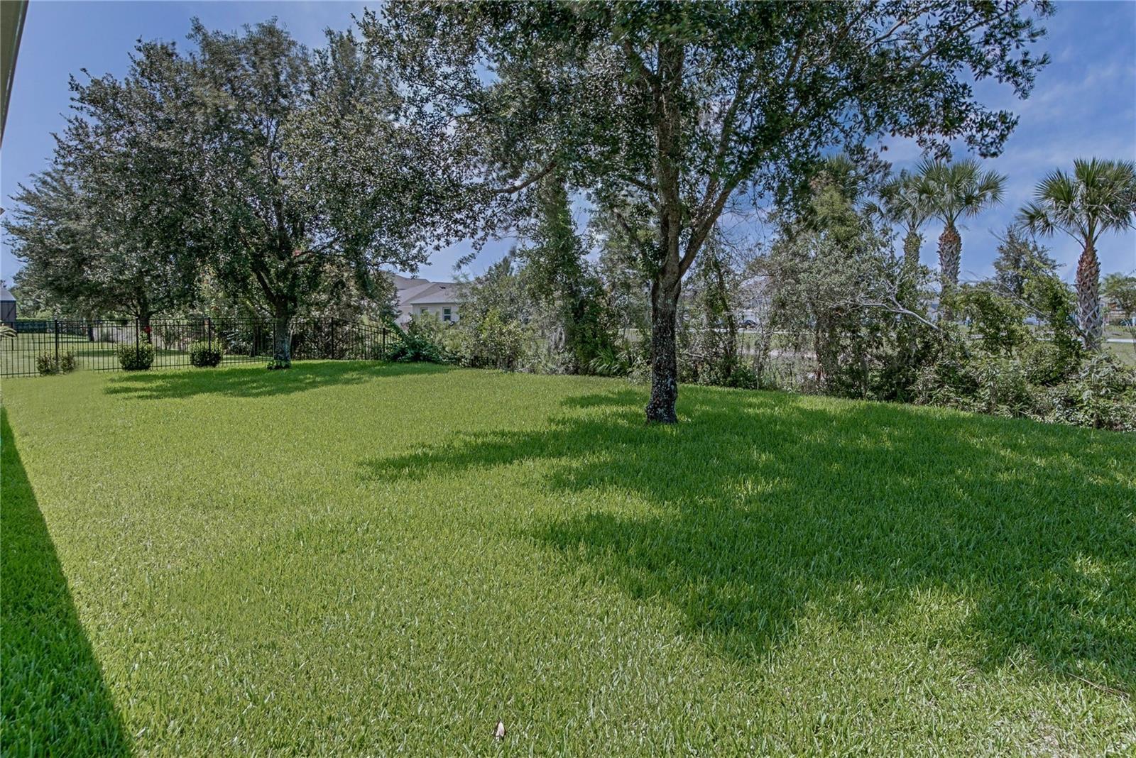 Photo #37