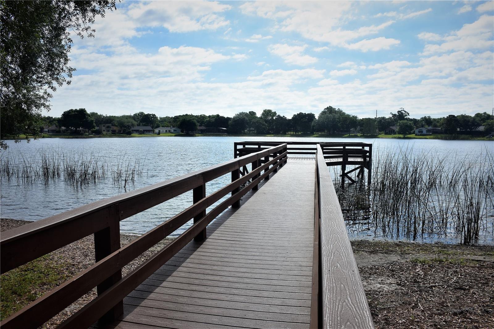 Photo #31