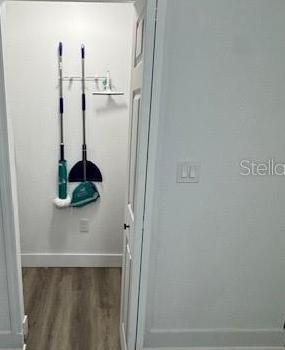 Photo #18